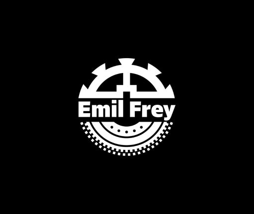 Logo von Vertrieb und Service Emil Frey Gruppe